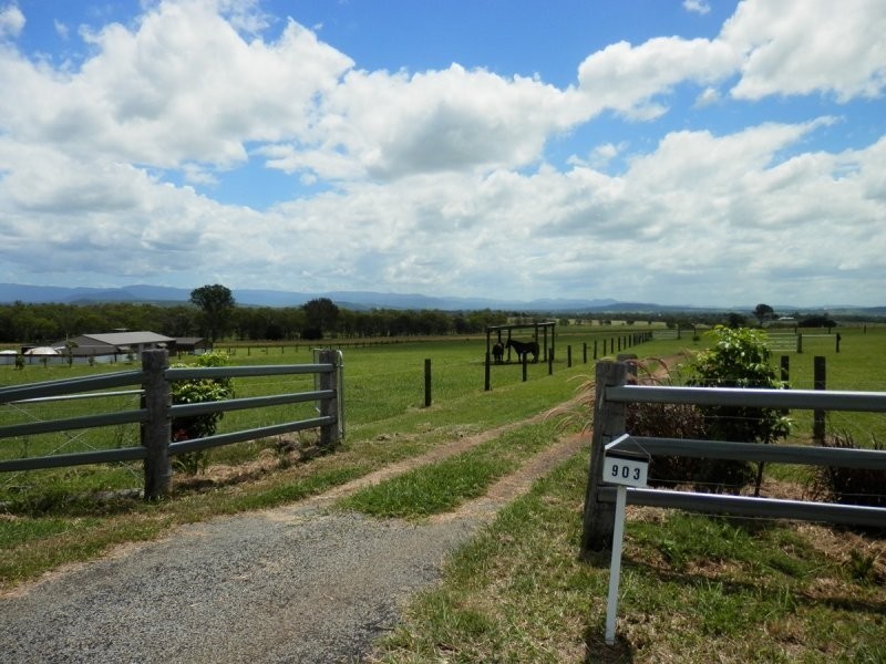 903 Munbilla Road, Munbilla QLD 4309