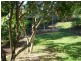 28 Belleglade Avenue, Bundamba QLD 4304
