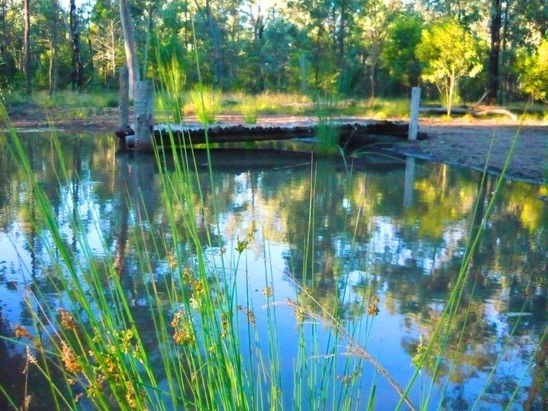 Lot 92 Fagans Road, Weranga QLD 4405