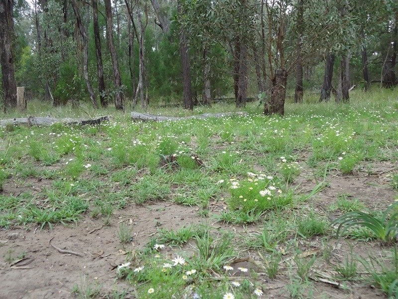 Lot 92 Fagans Road, Weranga QLD 4405