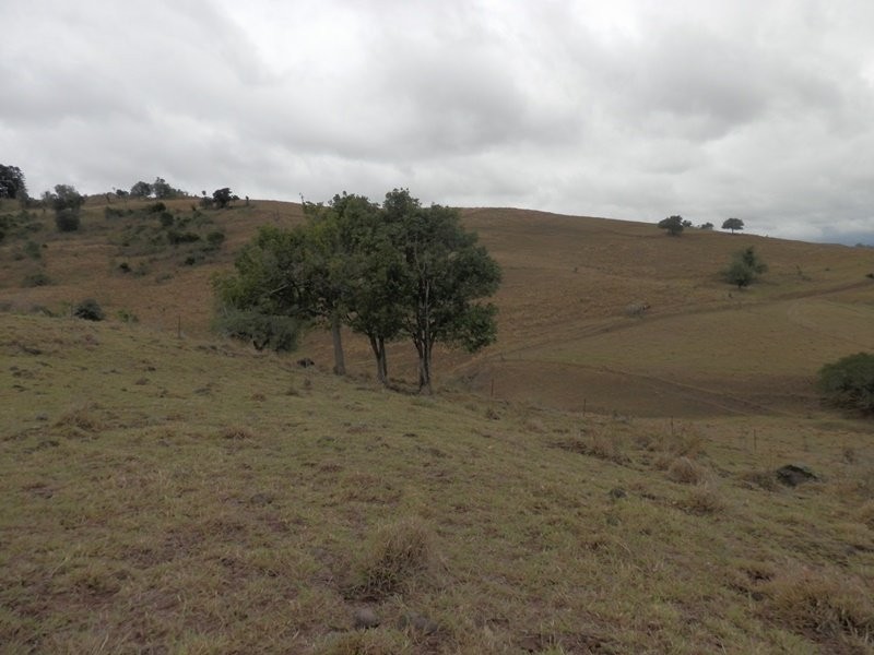 Lot 1 Voss Road, Glamorgan Vale QLD 4306