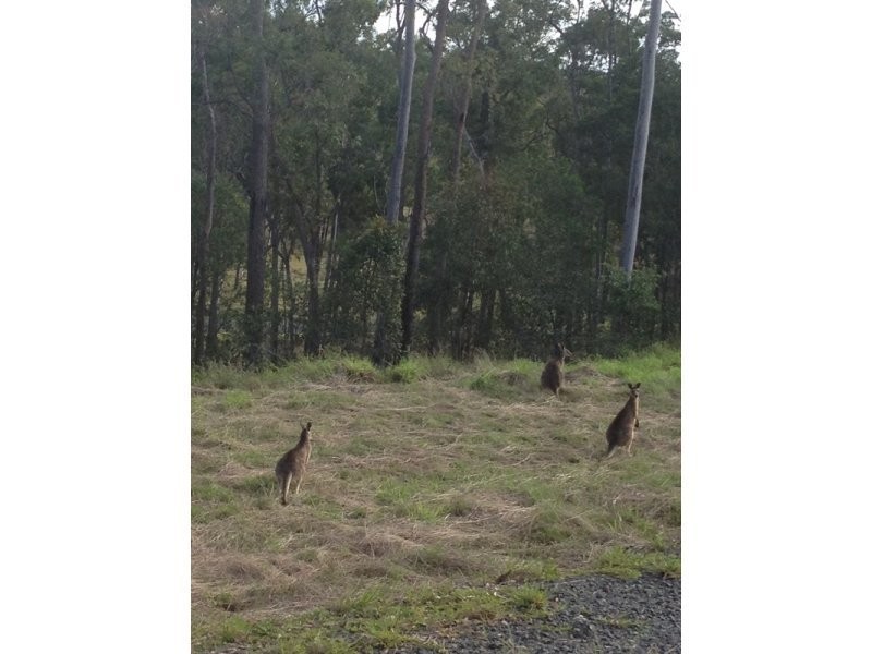 Lot 13 Chappell Hills Drive, Childers QLD 4660