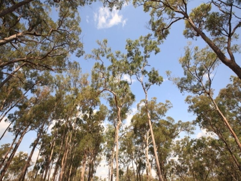 Lot 13 Chappell Hills Drive, Childers QLD 4660