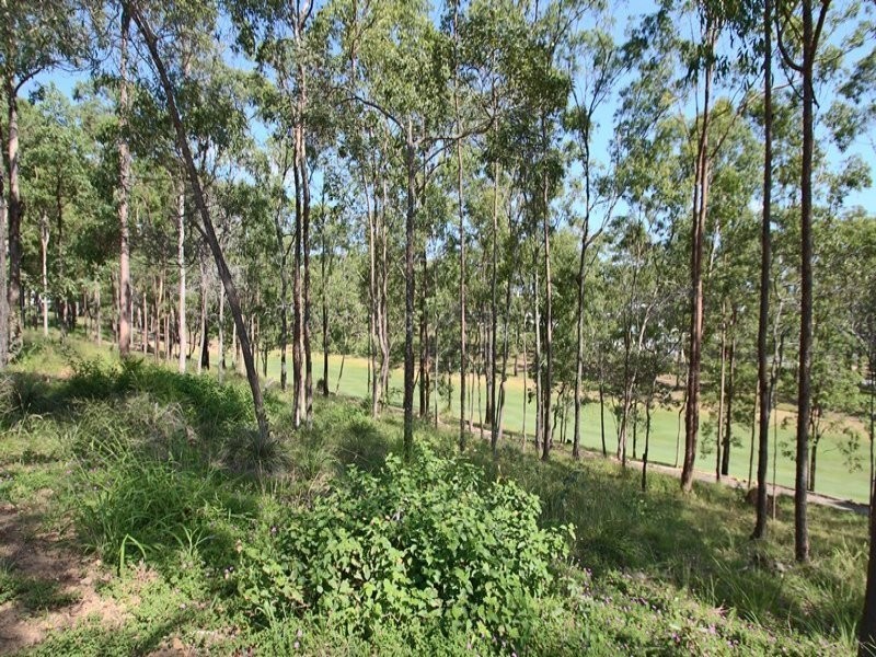 Lot 1222, 107 Birchwood Crescent, Brookwater QLD 4300