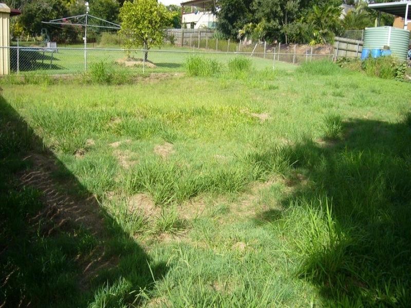 31 Lindsay Street, Bundamba QLD 4304