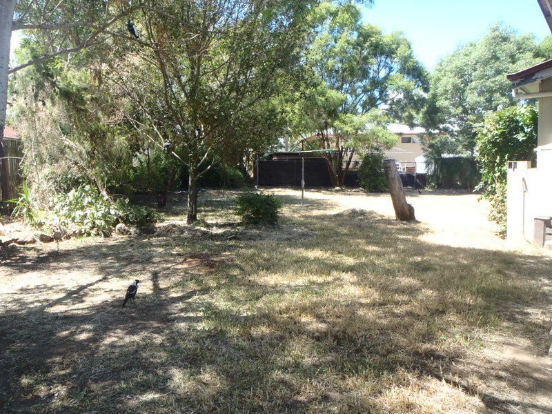 16 Hampton street, One Mile QLD 4305