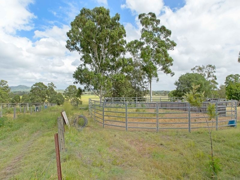 99 Randalls Road, Fairney View QLD 4306