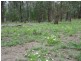 Lot 11 Kesshans Road, Goranba QLD 4421