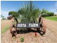 227 Heise Road, Hoya QLD 4310