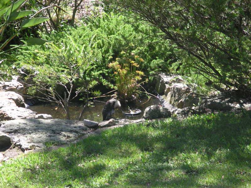 3 Bess Street, Vincentia NSW 2540