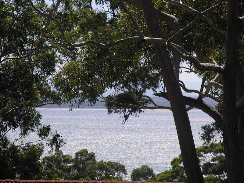 3 Bess Street, Vincentia NSW 2540