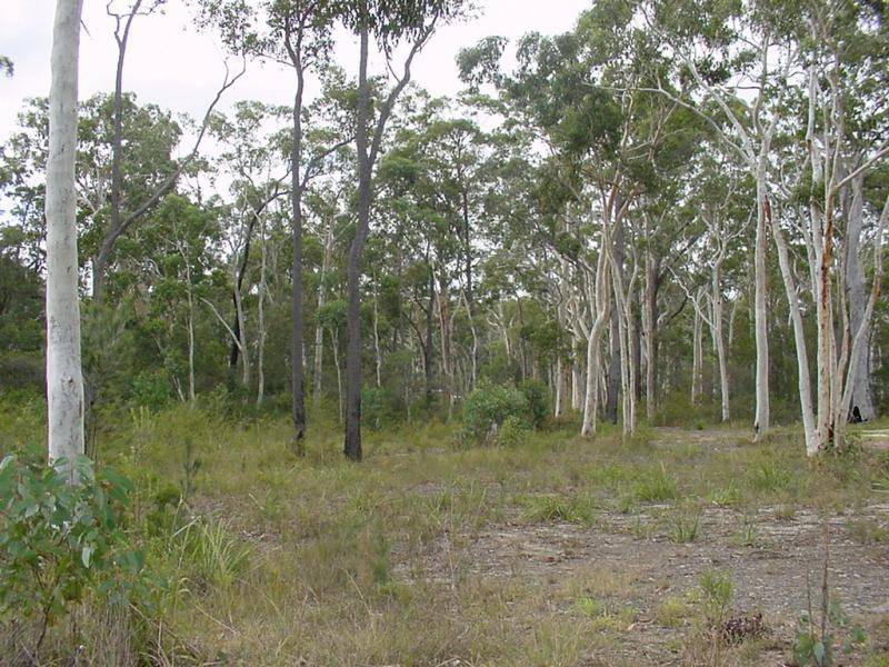 84 Anson Street, Sanctuary Point NSW 2540