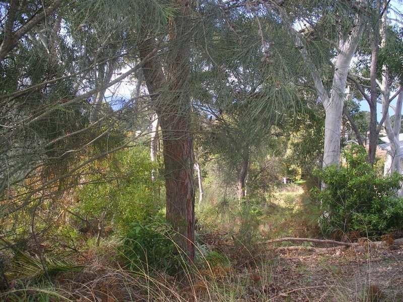 6 Towry Crescent, Vincentia NSW 2540