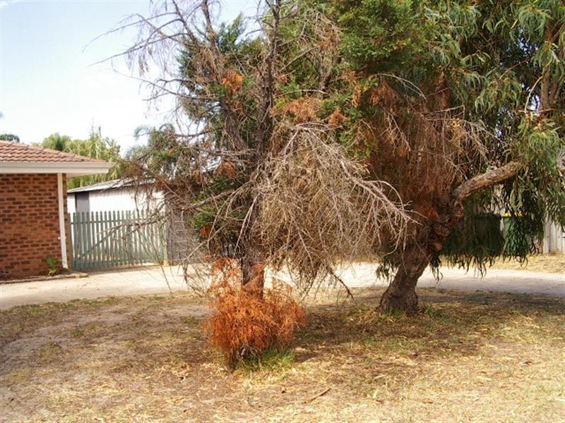 22 Linden Way, Forrestfield WA 6058