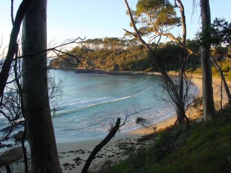 14 Lilli Pilli Road, Lilli Pilli NSW 2536