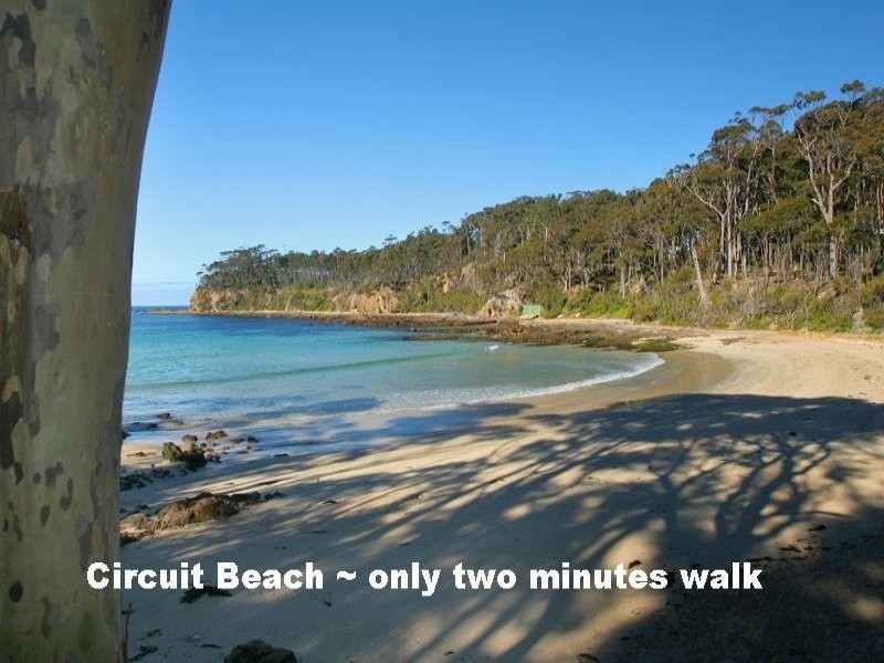 36 Denise Dr, Lilli Pilli NSW 2536