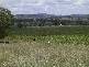 Bangheet NSW 2404