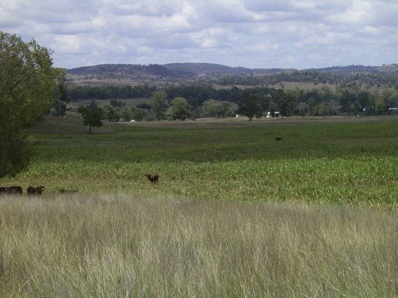 Bangheet NSW 2404