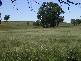 Delungra NSW 2403