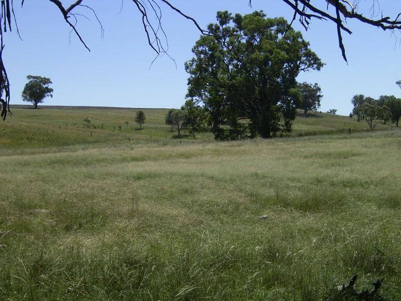 Delungra NSW 2403
