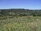 Delungra NSW 2403