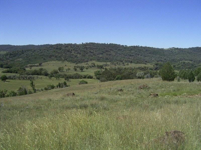 Delungra NSW 2403