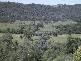 Delungra NSW 2403
