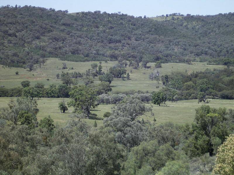 Delungra NSW 2403