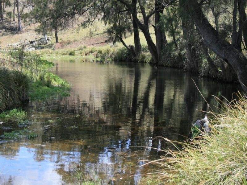 Woodsreef NSW 2347