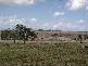 Exeter NSW 2579