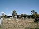 Exeter NSW 2579
