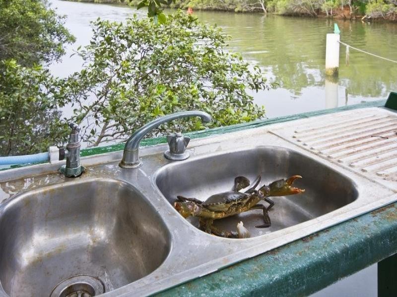 155 Station Road, Deagon QLD 4017