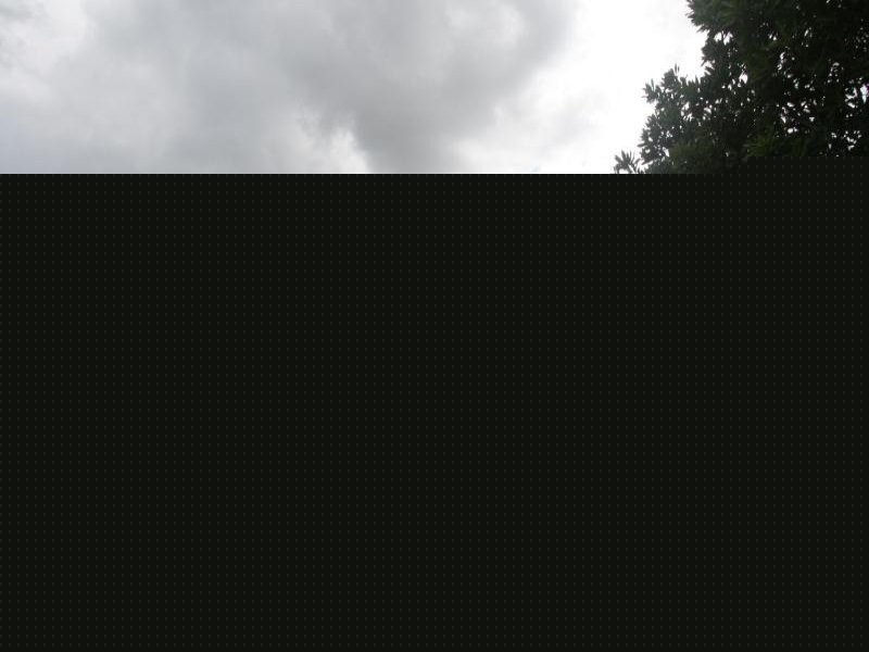 15 Jarrah Place, Fitzgibbon QLD 4018