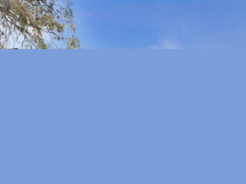 141 Bambrook Street, Taigum QLD 4018