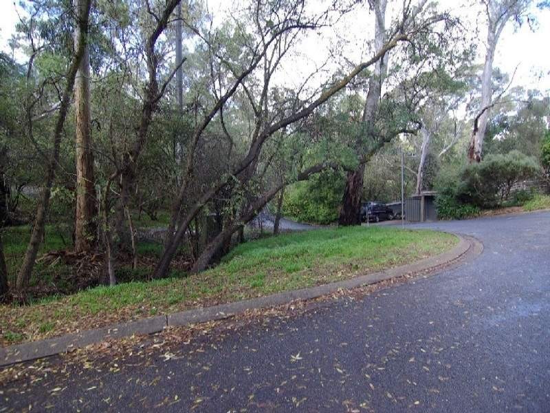 13 Cedar Avenue, Blackwood SA 5051