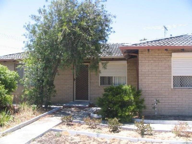 27 Chisham Avenue, Parmelia WA 6167