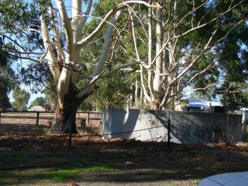 549 Orton Road, Oakford WA 6121