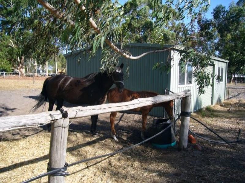 549 Orton Road, Oakford WA 6121