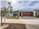 29 Dania Way, Butler WA 6036