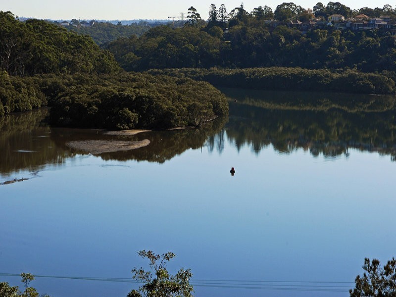 1 Linley Place, Linley Point NSW 2066