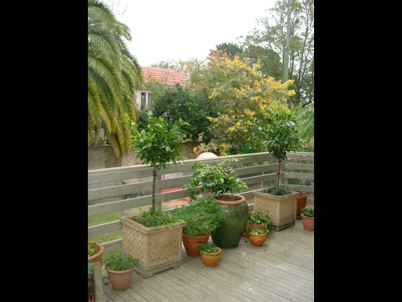 4 Robert Street, Greenwich NSW 2065