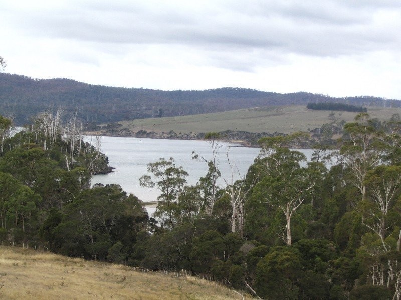 410 Rowella Road, Rowella TAS 7270