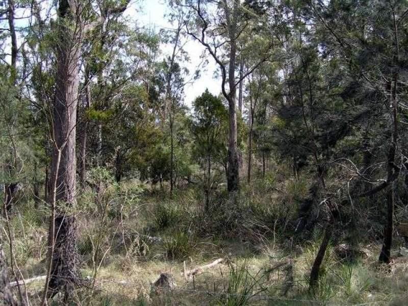 Lot 4 Dalrymple Road, Mount Direction TAS 7252