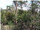 Lot 4 Dalrymple Road, Mount Direction TAS 7252
