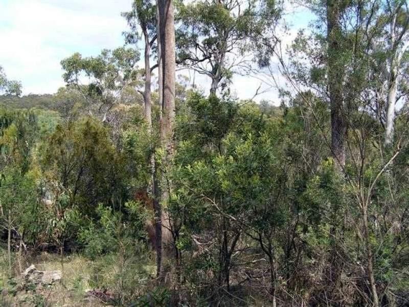 Lot 4 Dalrymple Road, Mount Direction TAS 7252