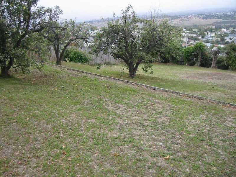 151 High Street, Newstead TAS 7250