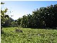 84 Weld Street, Beaconsfield TAS 7270