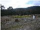 17 Nevin Street, Rossarden TAS 7213