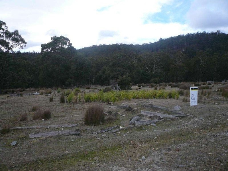 17 Nevin Street, Rossarden TAS 7213