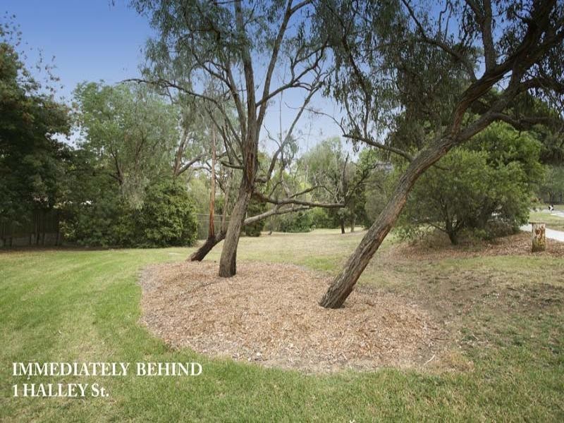 1 Halley Street, Blackburn VIC 3130